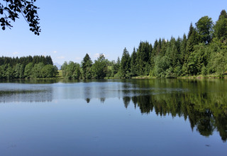Peaceful lake and forest view at Steingaden chalet in Germany, trees reflecting clearly in the water.