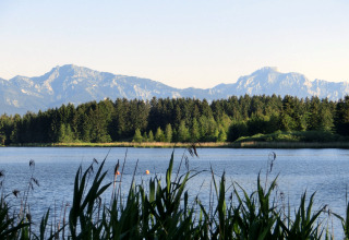 View from the Steingaden chalet in Germany showing a serene lake, forest, and mountains in the distance.