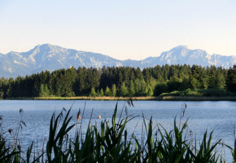Vista dal chalet Steingaden in Germania con lago, canne, foresta e montagne sullo sfondo al tramonto.