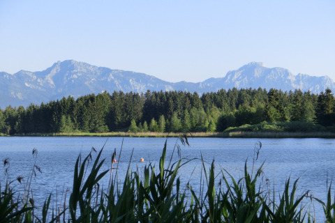 View from the Steingaden chalet in Germany showing a serene lake, forest, and mountains in the distance.