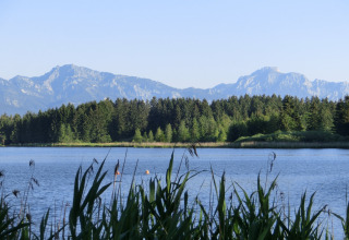 View from the Steingaden chalet in Germany showing a serene lake, forest, and mountains in the distance.