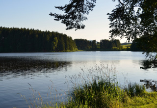 View of a peaceful lake surrounded by trees at Chalet Steingaden, Germany, on a clear summer day.