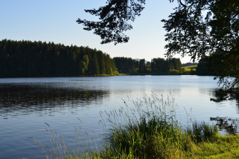 View of a peaceful lake surrounded by trees at Chalet Steingaden, Germany, on a clear summer day.