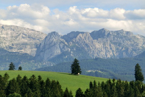 View from Steingaden chalet in Germany, showing green meadows, trees, and mountains under a cloudy sky.
