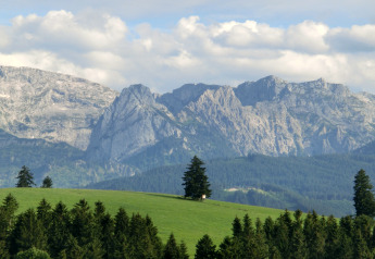 Vista dal chalet Steingaden in Germania con prati verdi, alberi e montagne sotto un cielo nuvoloso.