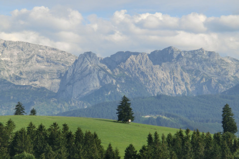 View from Steingaden chalet in Germany, showing green meadows, trees, and mountains under a cloudy sky.