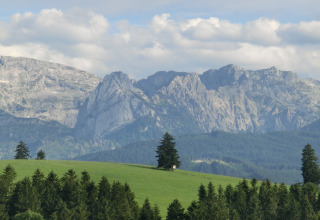 View from Steingaden chalet in Germany, showing green meadows, trees, and mountains under a cloudy sky.
