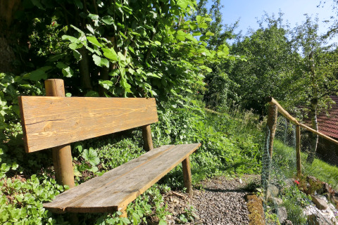 Wooden bench by a gravel path surrounded by lush plants near the Steingaden chalet in Germany.