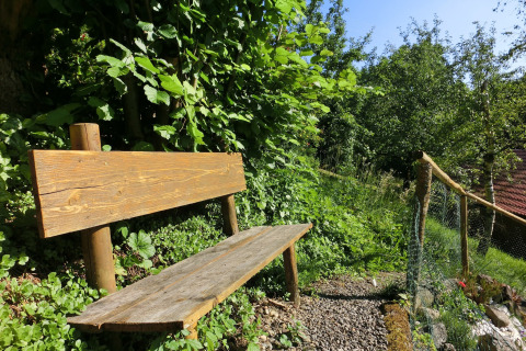 Wooden bench by a gravel path surrounded by lush plants near the Steingaden chalet in Germany.