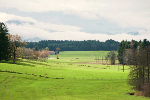 View of green fields, power lines, and forests from Steingaden chalet in Germany, under cloudy skies.