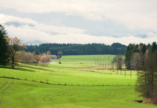 View of green fields, power lines, and forests from Steingaden chalet in Germany, under cloudy skies.