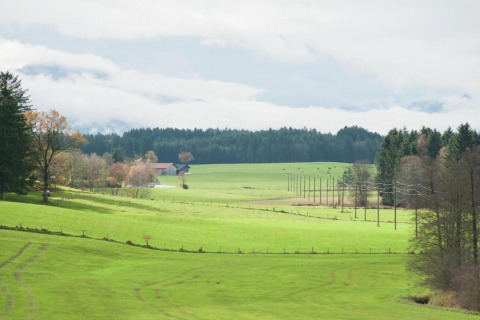 View of green fields, power lines, and forests from Steingaden chalet in Germany, under cloudy skies.