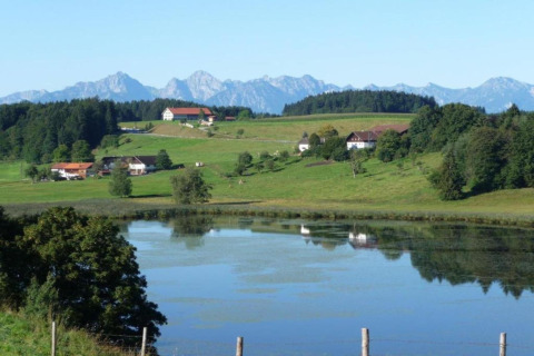 Scenic view from Steingaden chalet in Germany with lake, green fields, forest, and Alps in the distance.