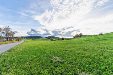 Photo of green fields and a path near the Steingaden chalet in Germany with a dramatic cloudy sky above.