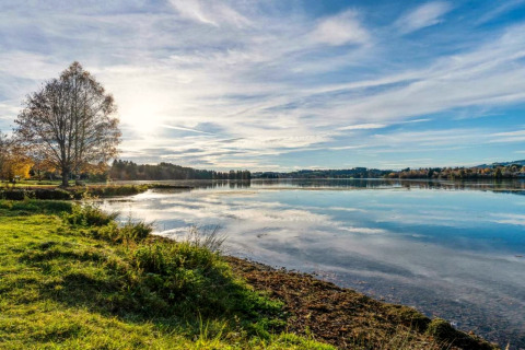Sunny lakeside view at the Steingaden chalet in Germany, with clear water, green grass and blue sky.