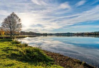 Sunny lakeside view at the Steingaden chalet in Germany, with clear water, green grass and blue sky.