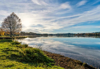 Vista soleggiata del lago allo chalet Steingaden in Germania, acqua limpida, prato verde e cielo azzurro.