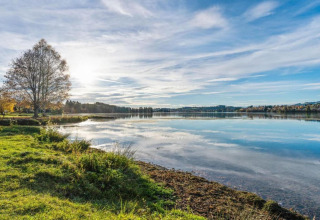 Sunny lakeside view at the Steingaden chalet in Germany, with clear water, green grass and blue sky.