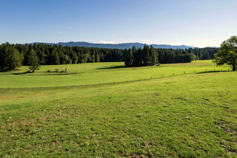 Expansive green meadow and forest at Steingaden chalet in Germany, with distant hills and blue sky above.