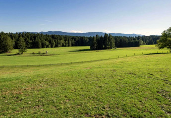Prato verde e bosco presso lo chalet Steingaden in Germania, colline e cielo azzurro sullo sfondo.