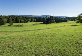 Expansive green meadow and forest at Steingaden chalet in Germany, with distant hills and blue sky above.
