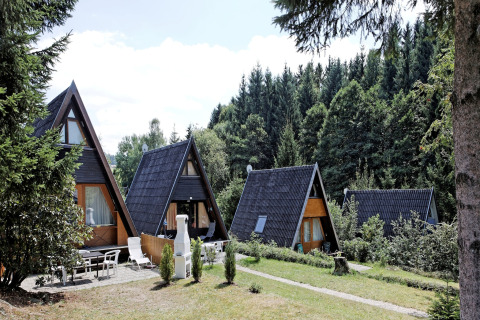 Chalet a forma di A al Holiday park Jägerwiesen 1, circondati da alberi verdi e natura incontaminata.