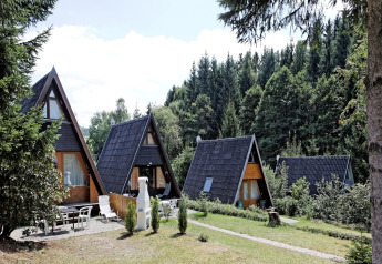 A-frame cabins at Holiday park Jägerwiesen 1, surrounded by lush green trees and forest under a clear sky.