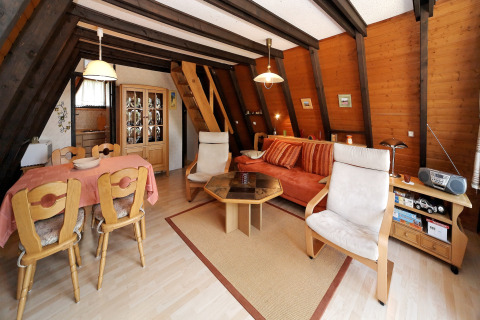 Sala de estar acogedora en el Holiday park Jägerwiesen 1, Alemania, con paredes de madera y comedor.