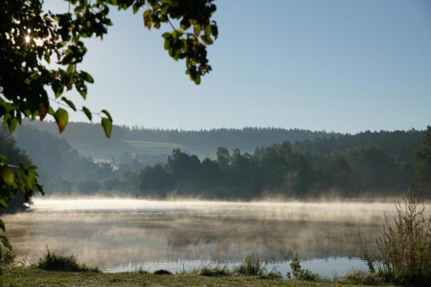 Nebbia mattutina su un lago tranquillo al Holiday park «Jägerwiesen 1» in Germania, circondato da boschi.