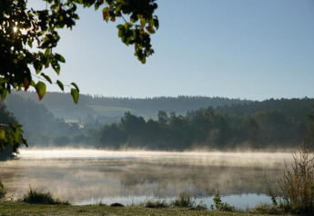 Morning mist rises over a tranquil lake at Holiday park «Jägerwiesen 1» in Germany, surrounded by forest.