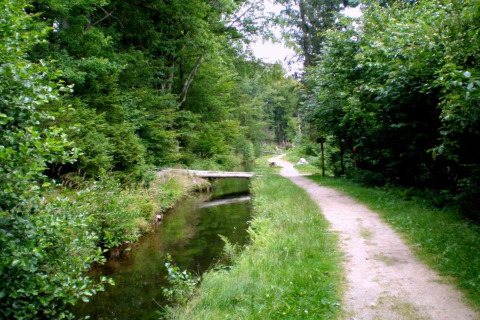 Pfad am Holiday Park 'Jägerwiesen 1' in Deutschland mit Wald, Bach und kleiner Holzbrücke.