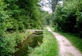 Sti ved Holiday park 'Jägerwiesen 1' i Tyskland med frodig skov, lille kanal og træbro.