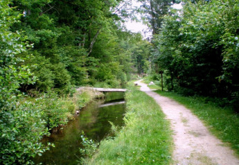 Path beside a stream and wooden bridge at Holiday park 'Jägerwiesen 1' in Germany, forest view.