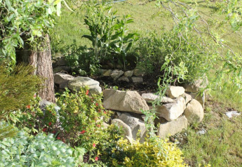 A raised stone garden bed surrounded by lush plants at Holiday park «Jägerwiesen 1» in Germany.