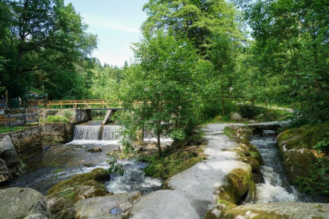 Sendero junto a un arroyo con pequeña cascada y puente en Holiday park «Jägerwiesen 1», Alemania.