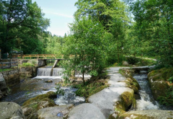 Forest path along a stream with small waterfall and bridge at Holiday park «Jägerwiesen 1» in Germany.