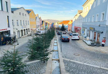 German street lined with colorful buildings, Christmas trees in the center, and parked cars on cobblestones.