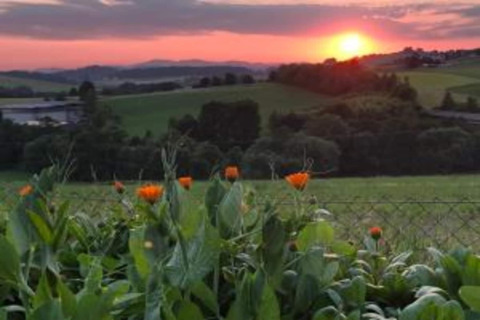 Solnedgang over grønne marker og blomster ved Holiday park «Jägerwiesen 1» i Tyskland.