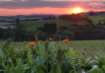 Sunset over green fields and orange flowers at Holiday park «Jägerwiesen 1» in Germany.