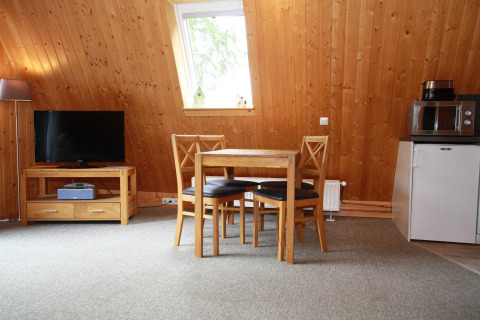 Lodge living area with wooden walls, table and chairs, TV, window, fridge, microwave and carpet.