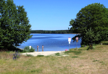 Vue sur une paisible plage de lac près de Type A1 - Nurdachhaus, entourée d’arbres verts en Allemagne.