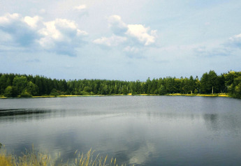 Vue sur un lac paisible entouré d’arbres verts et ciel bleu à Type A1 - Nurdachhaus en Allemagne.