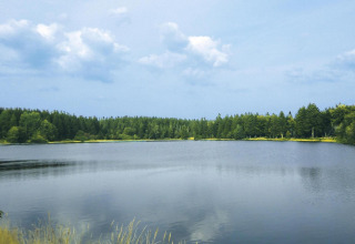 Uitzicht op een vredig meer omringd door groene bomen en blauwe lucht bij Type A1 - Nurdachhaus in Duitsland.