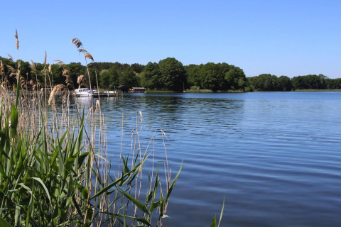 Uitzicht op het meer vanaf lodge Type A1 - Nurdachhaus in Duitsland, met riet en boten bij de steiger.