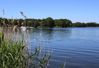 Uitzicht op het meer vanaf lodge Type A1 - Nurdachhaus in Duitsland, met riet en boten bij de steiger.