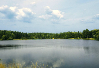 Friedlicher Blick auf einen See mit bewaldetem Ufer und blauem Himmel bei 'Type A - Nurdachhaus - mit Haustier' in Deutschland