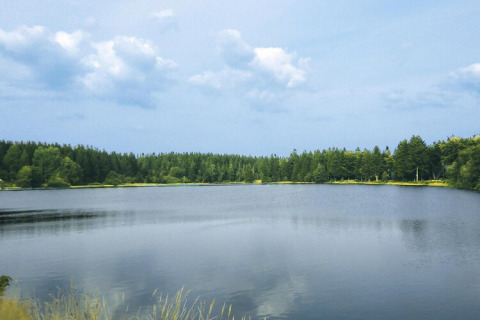 Tranquil lake view bordered by green trees and blue sky at 'Type A - Nurdachhaus - with pet' in Germany