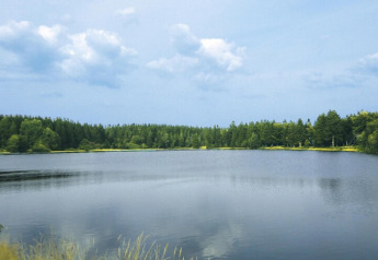 Vue paisible sur un lac entouré d’arbres verts et ciel bleu au 'Type A - Nurdachhaus - avec animal' en Allemagne