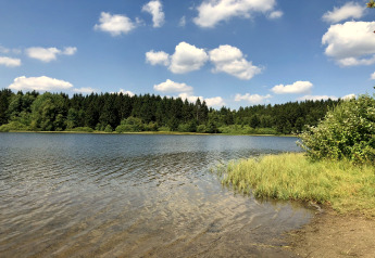 Blick auf einen ruhigen See mit Wald und Himmel, fotografiert vom «Type A - Nurdachhaus» in Deutschland.