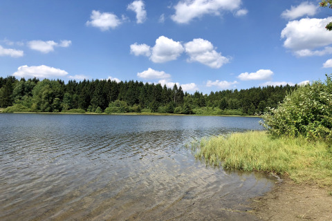 Uitzicht op een rustige meer met bos en blauwe lucht, genomen bij «Type A - Nurdachhaus» in Duitsland.